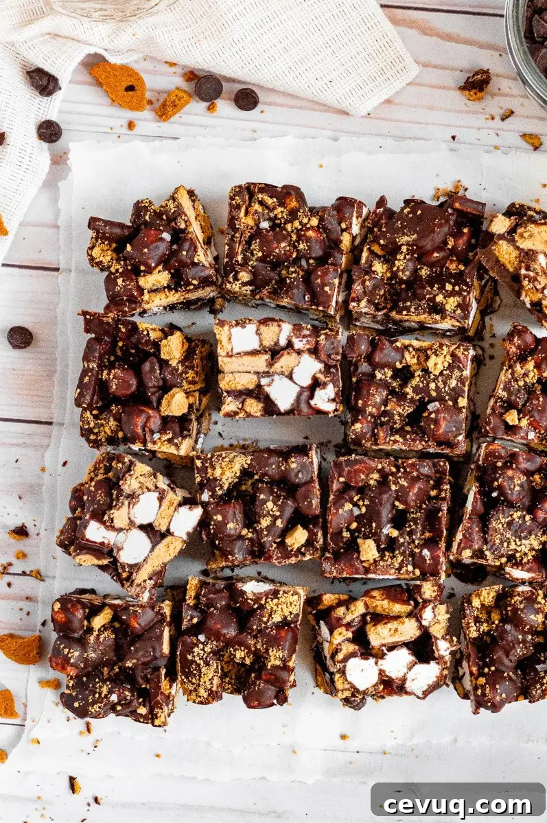No-bake s'mores bars covered in rich dark chocolate with bright white mini marshmallows and golden graham cracker pieces.