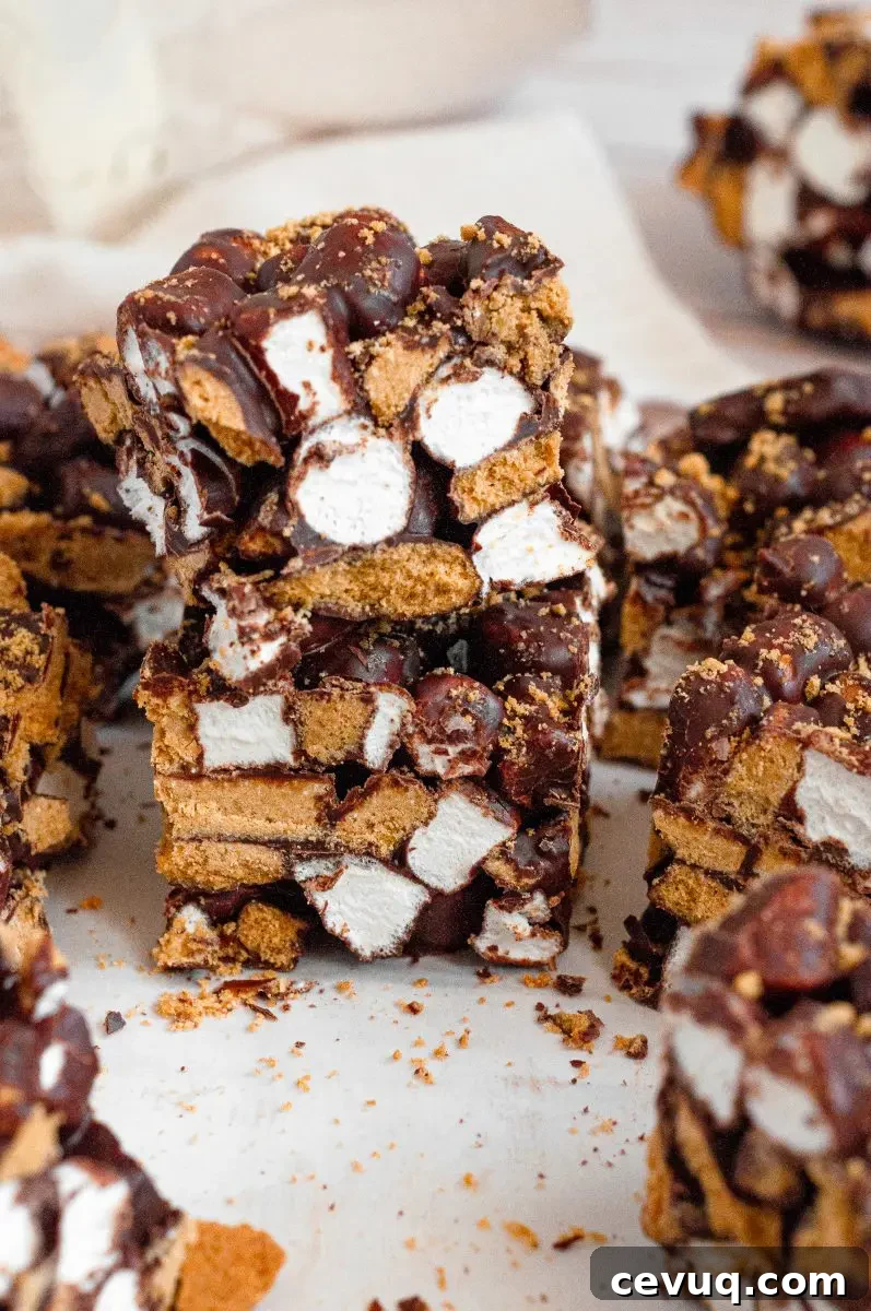 No-bake s'mores bars covered in rich dark chocolate with bright white mini marshmallows and golden graham cracker pieces.