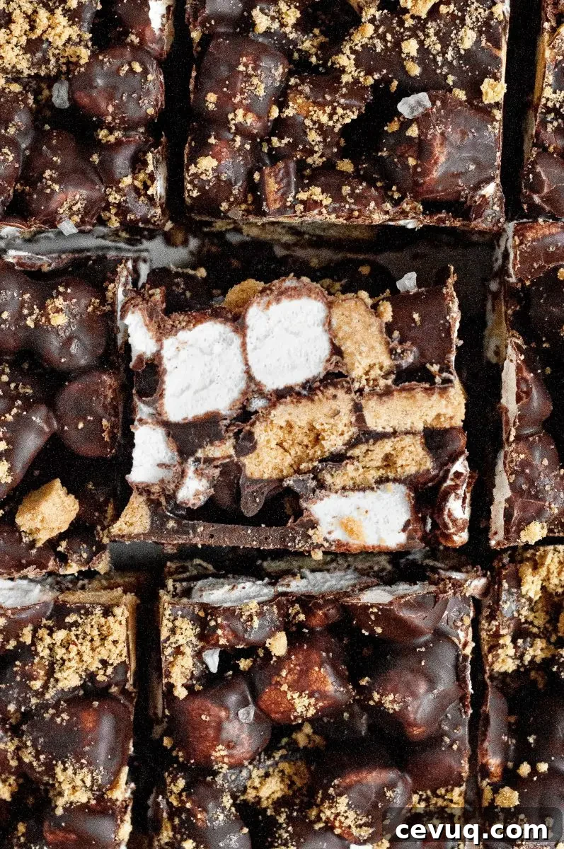No-bake s'mores bars covered in rich dark chocolate with bright white mini marshmallows and golden graham cracker pieces.