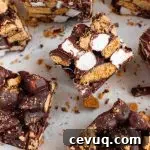 No-bake s'mores bars covered in rich dark chocolate