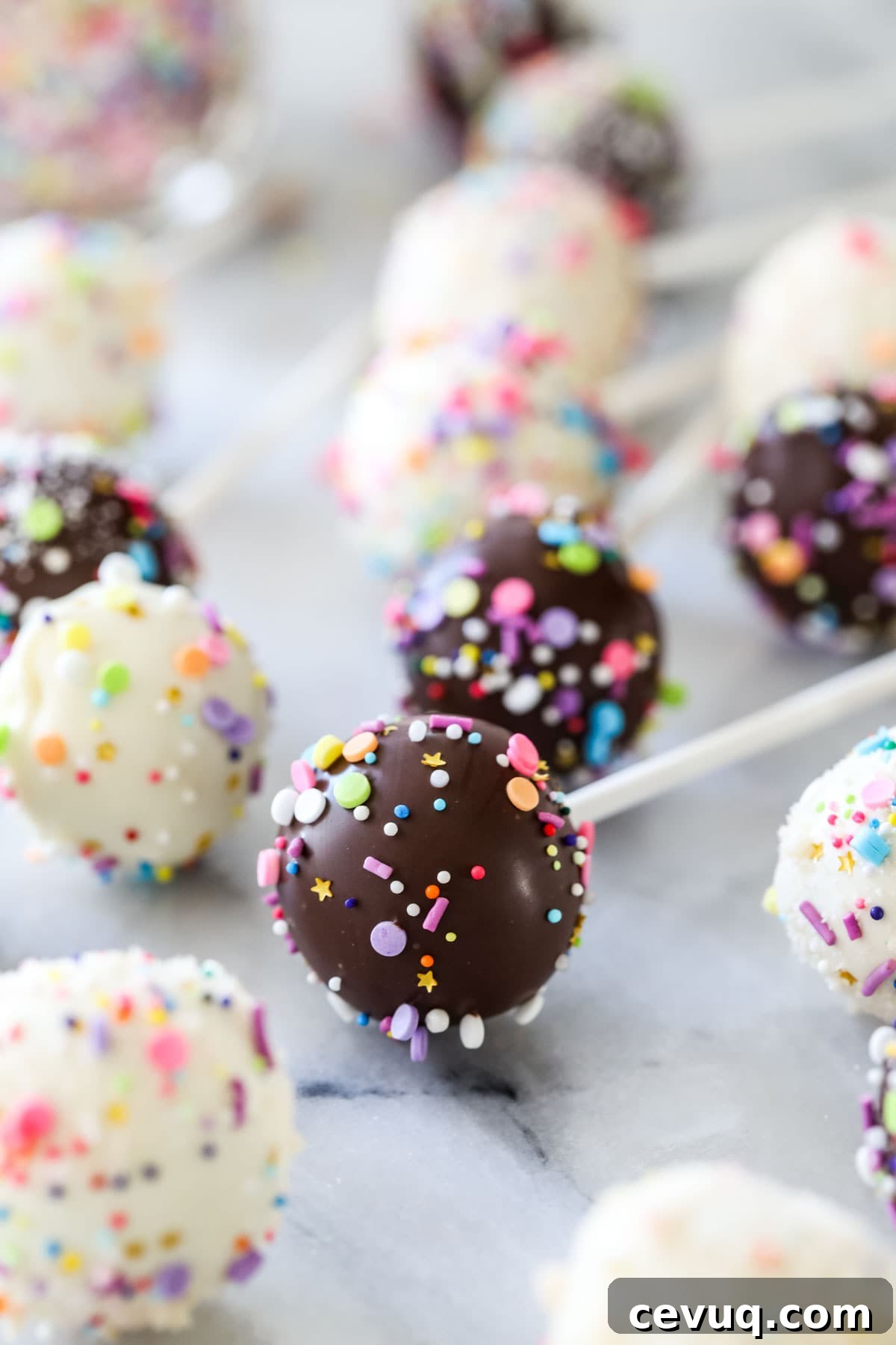 Chocolate and sprinkle covered cake pop surrounded by other cake pops.