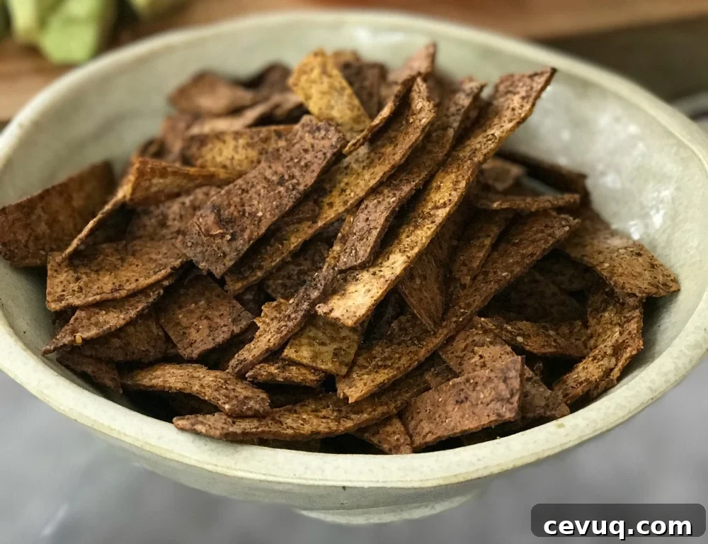 Spiced Tortilla Strips are crunchy and tasty!