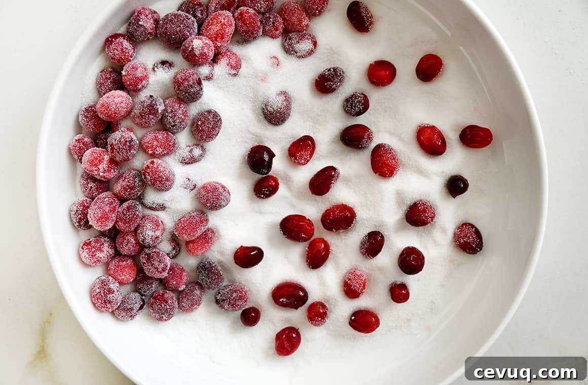 A top-down view of a large white bowl containing sugar and fresh cranberries