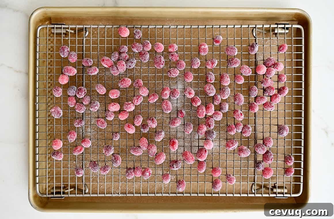 A top-down view of frosted cranberries drying atop a wire rack on a baking sheet