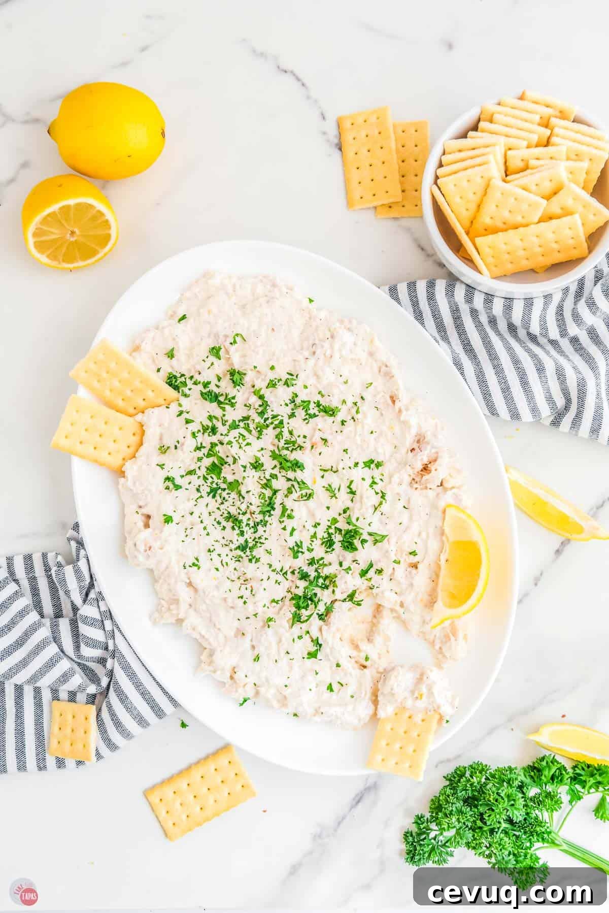 tuna dip on a white plate with crackers