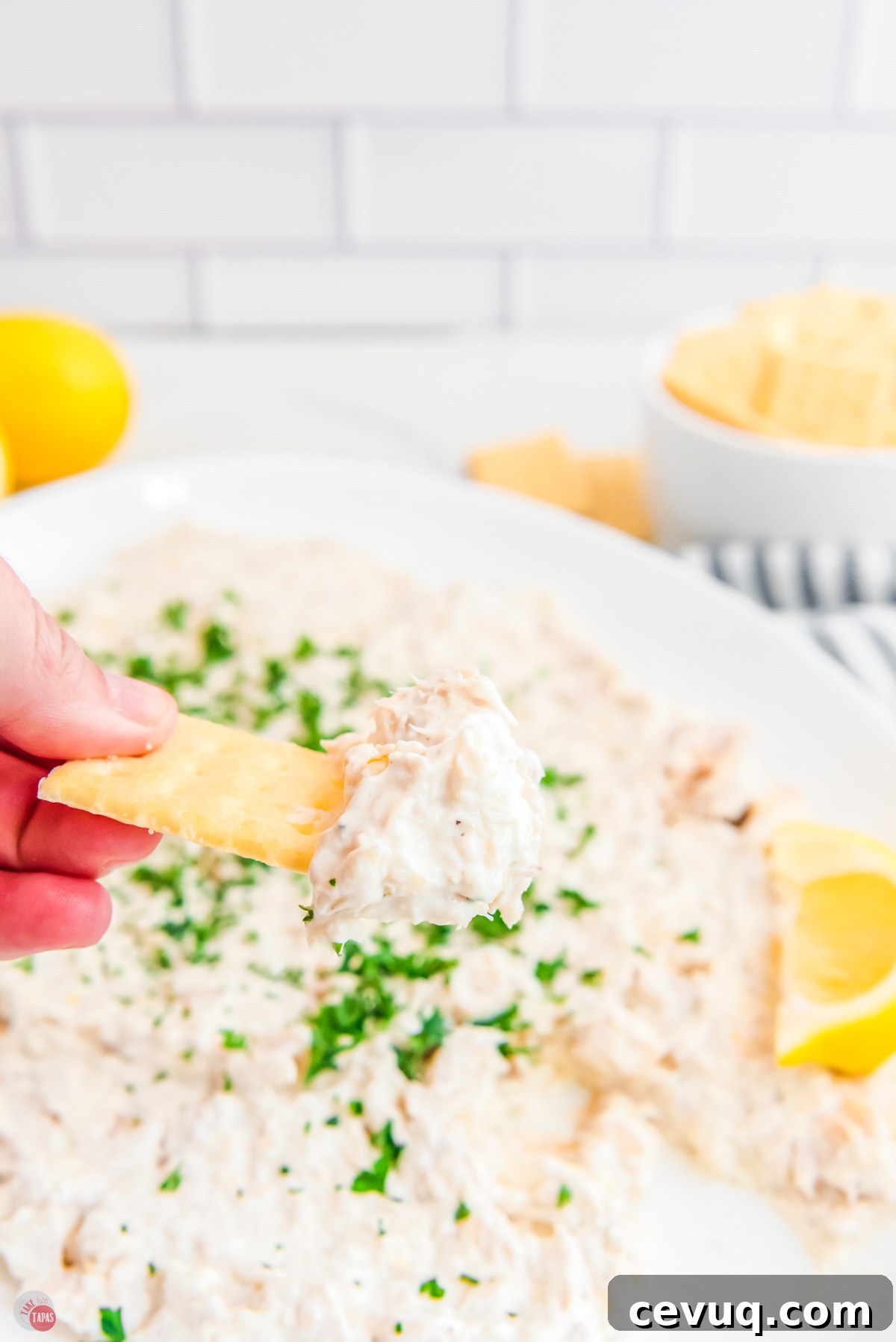 hand holding a cracker with tuna dip on it