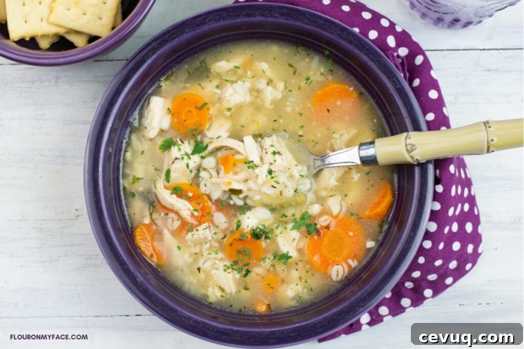 Instant Pot Chicken and Barley Soup Recipe for Quick Comfort 2 A bowl filled with homemade chicken and barley soup