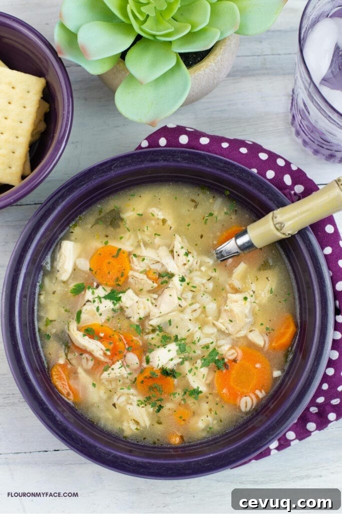 Instant Pot Chicken and Barley Soup Recipe for Quick Comfort 3 Pressure cooked chicken and barely soup in a purple fiesta ware bowl with a bowl of crackers and a glass of water