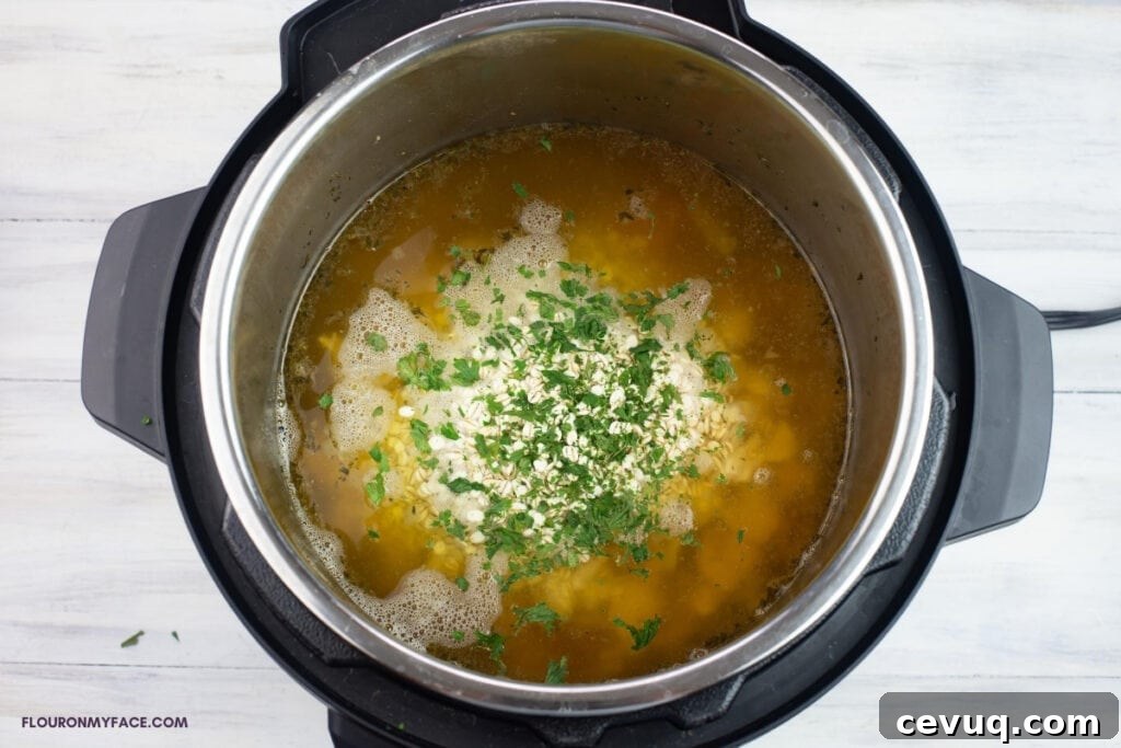 Instant Pot Chicken and Barley Soup Recipe for Quick Comfort 6 ingredients to make chicken barely soup in a pressure cooker before cooking