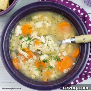 Instant Pot Chicken and Barley Soup Recipe for Quick Comfort 9 A purple glass bowl filled with Instant Pot Chicken Barley Soup