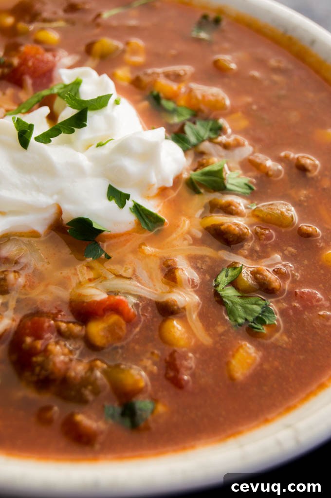 Serving of spicy taco soup