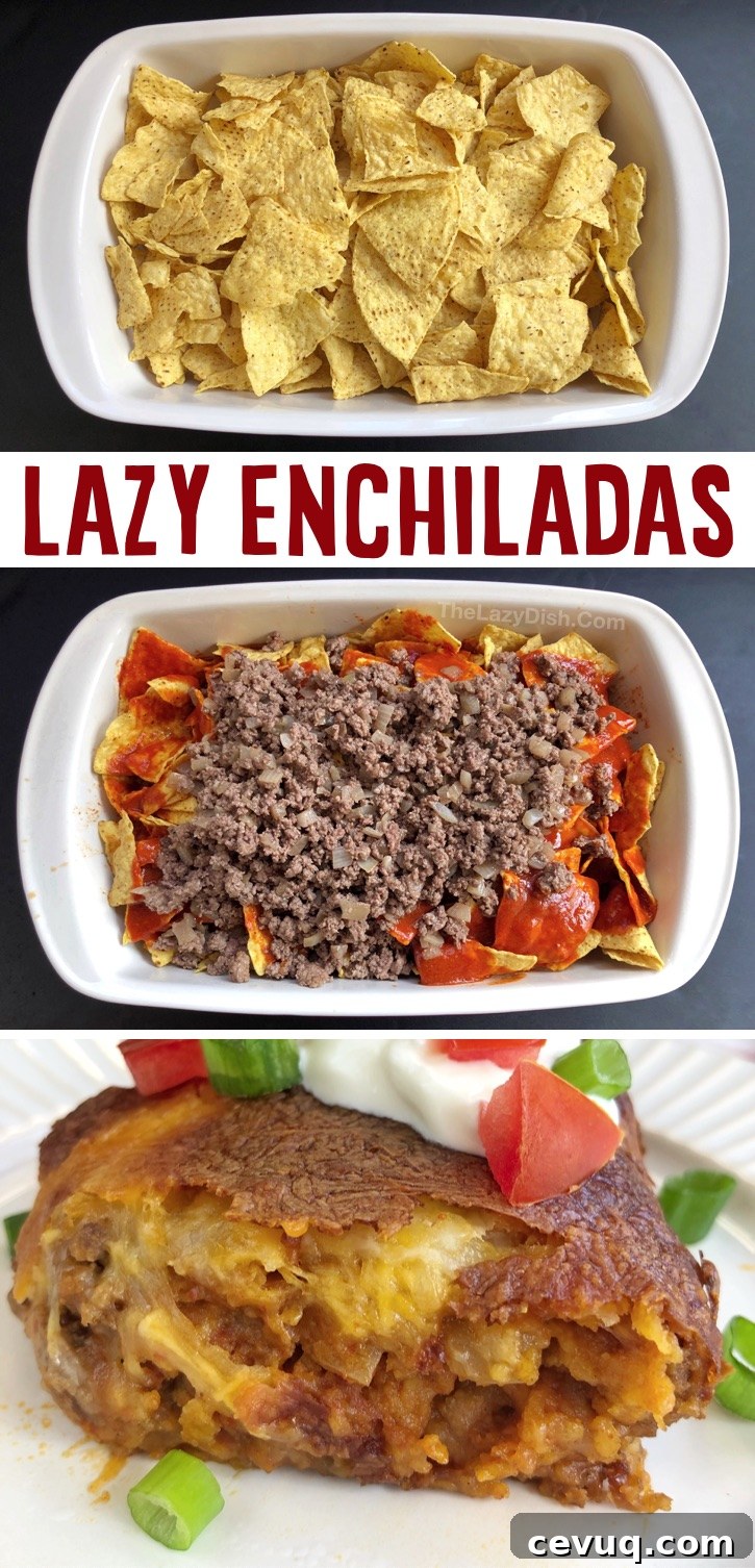 Cheesy Enchilada Casserole with Tortilla Chips: Quick Weeknight Meal 5 Easy Ground Beef Enchilada Family Dinner Casserole