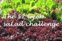 52-Week Salad Challenge: January Picks and Recipes
