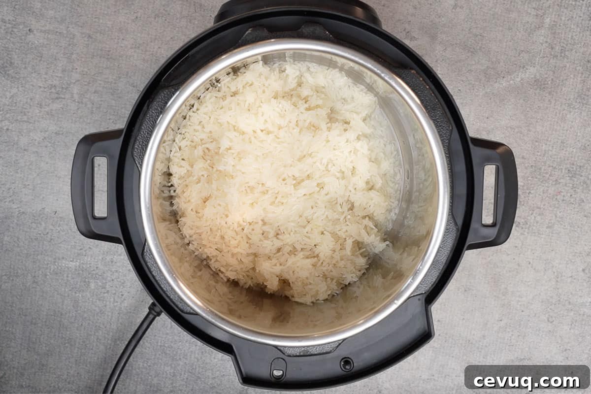 Rinsed jasmine rice added to the instant pot.