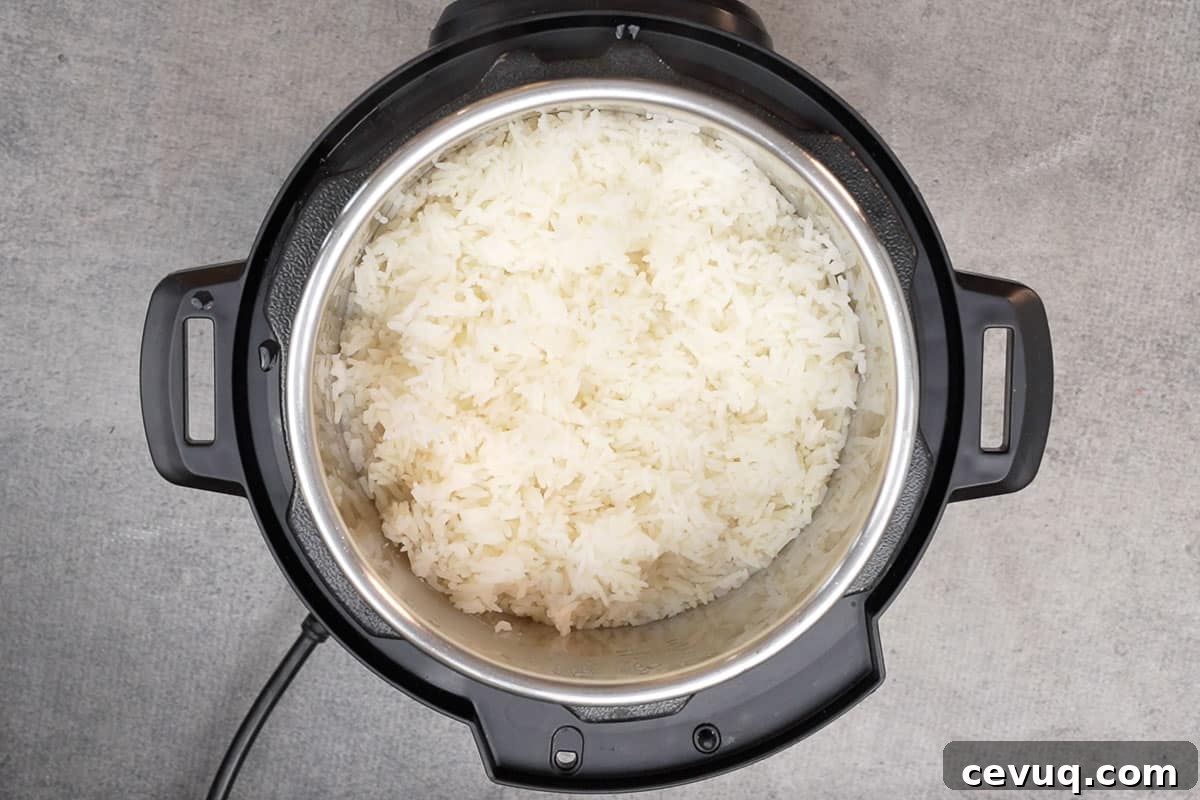 Cooked jasmine rice fluffed with a fork.