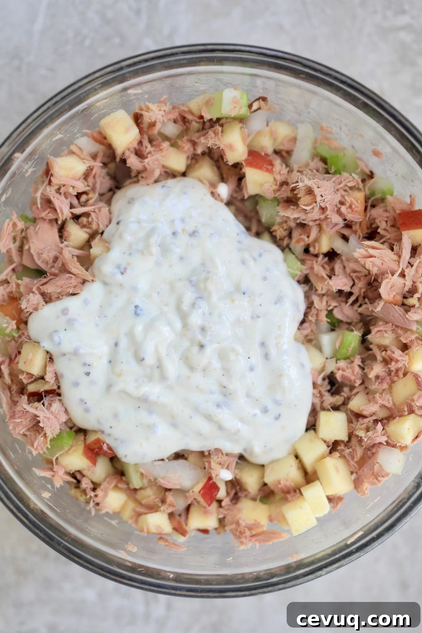 bowl with tuna and white dressing on top