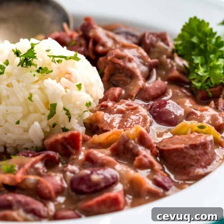 close up of southern Red Beans and Rice