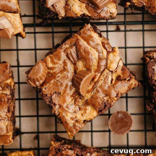 An overhead shot of brownies with peanut butter cups on a wire cooling rack.