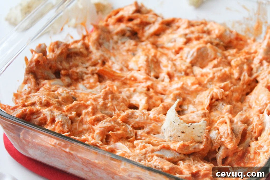 Gluten-Free Buffalo Chicken Dip Recipe for Game Day Snacks 3 img 556 2