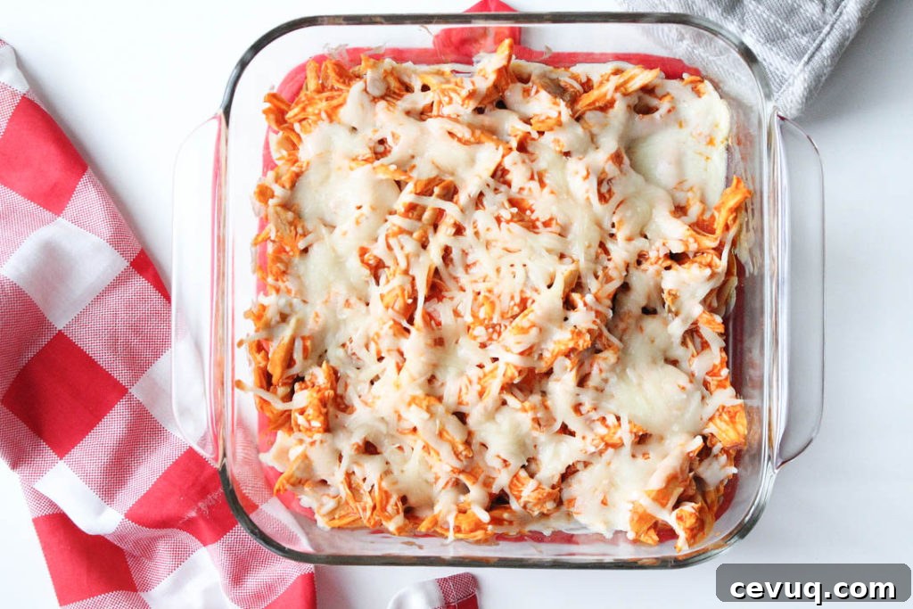 Gluten-Free Buffalo Chicken Dip Recipe for Game Day Snacks 5 img 556 4