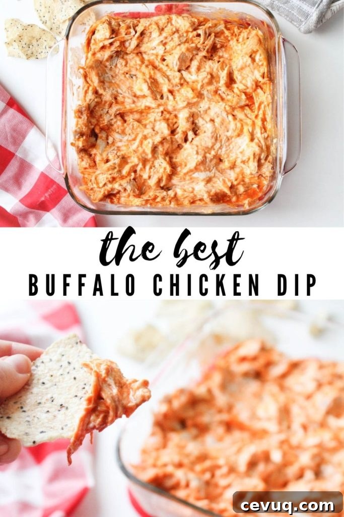 Gluten-Free Buffalo Chicken Dip Recipe for Game Day Snacks 8 img 556 7