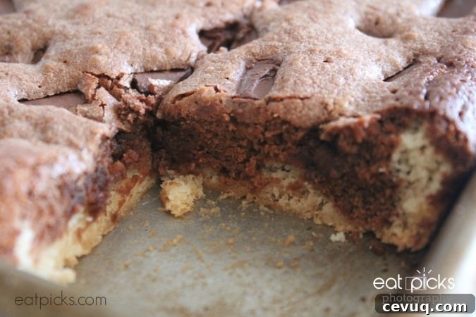 coffee chocolate brownies in pan