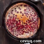 A cranberry dutch baby in a cast iron skillet dusted with powdered sugar.