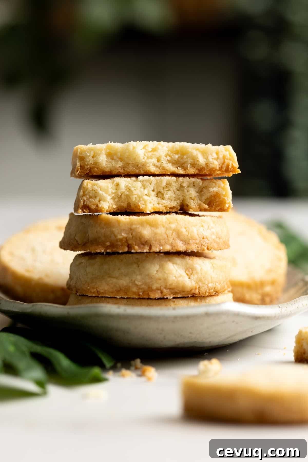 A stack of coconut shortbread.