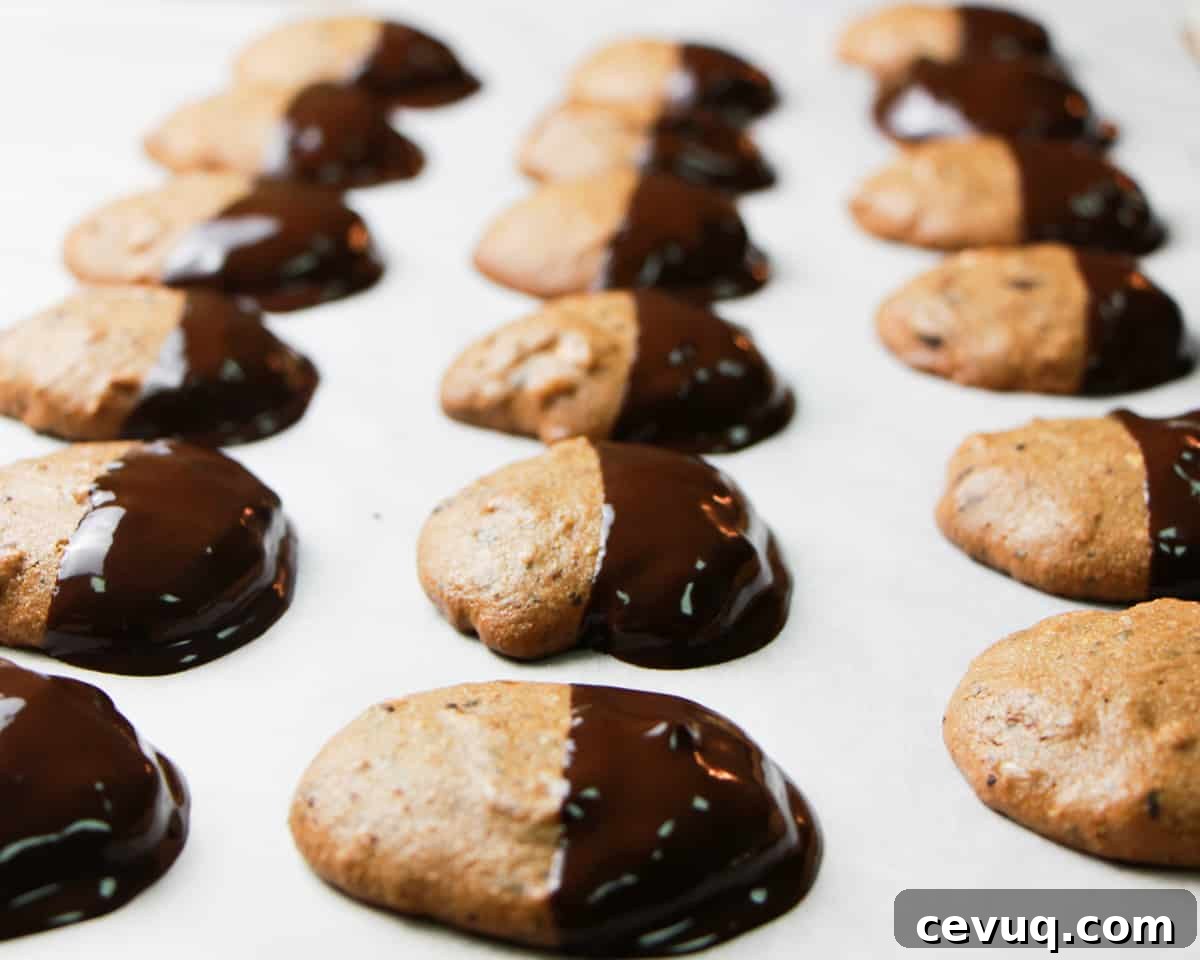 lines of delicious dark chocolate dipped cookies
