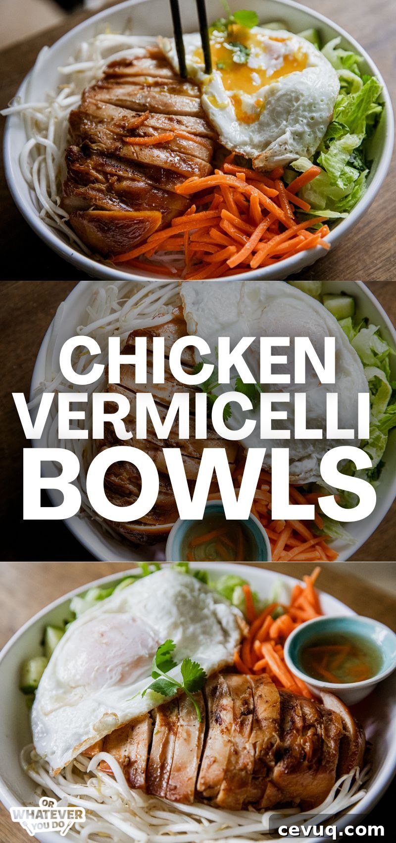 Traeger-Smoked Chicken Vermicelli Bowls with Fresh Herbs 10 Chicken Vermicelli Bowls