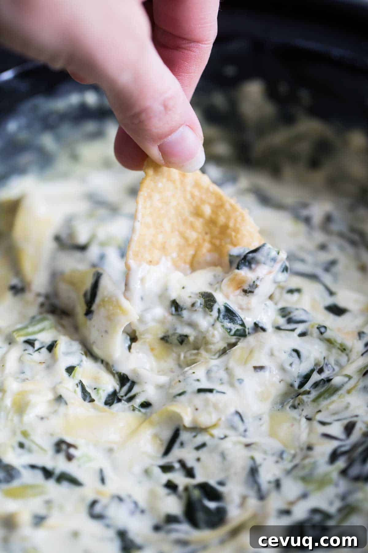 Dipping a chip into the best Crockpot Spinach Artichoke Dip