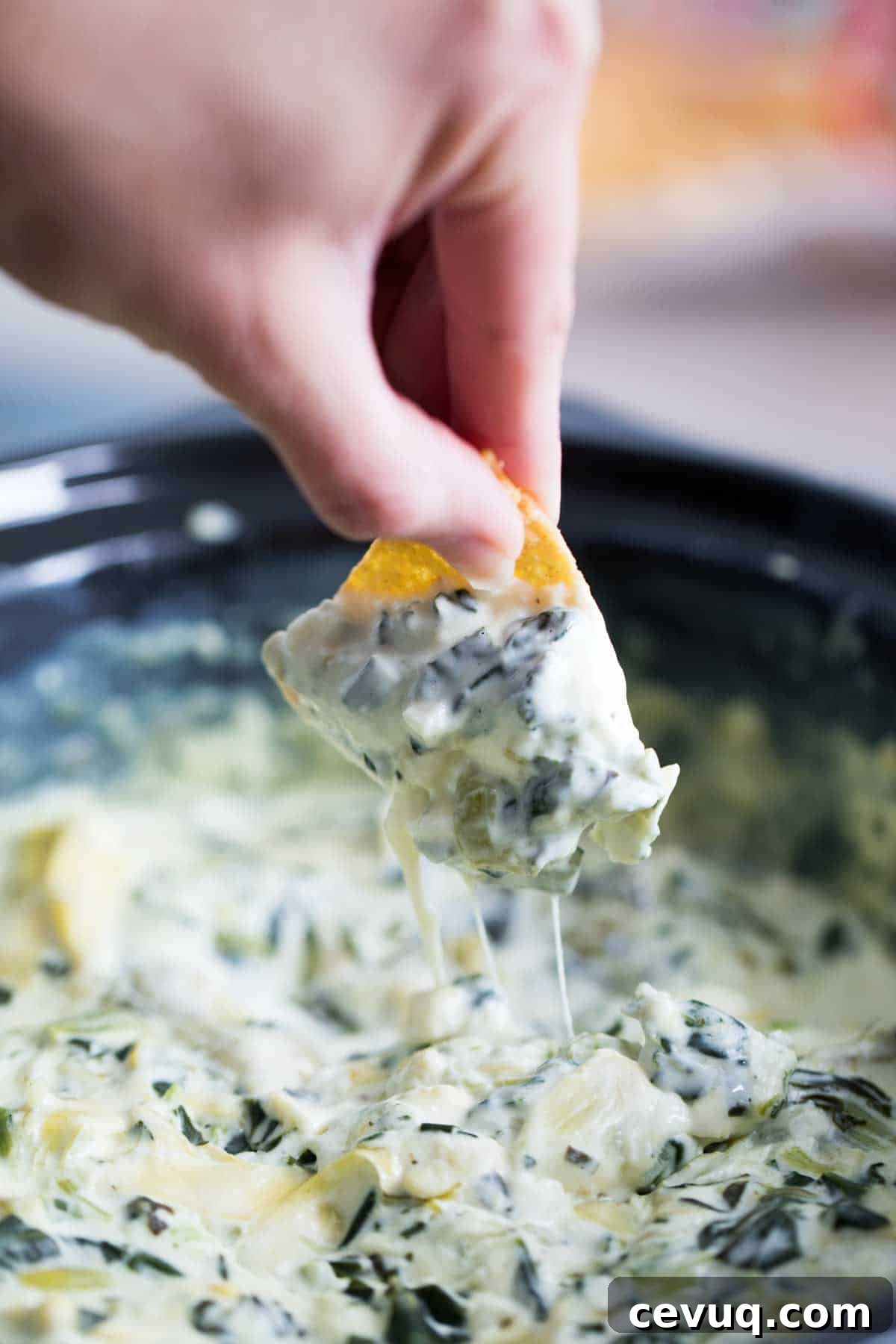 Crockpot Spinach Artichoke Dip with a chip dipping in