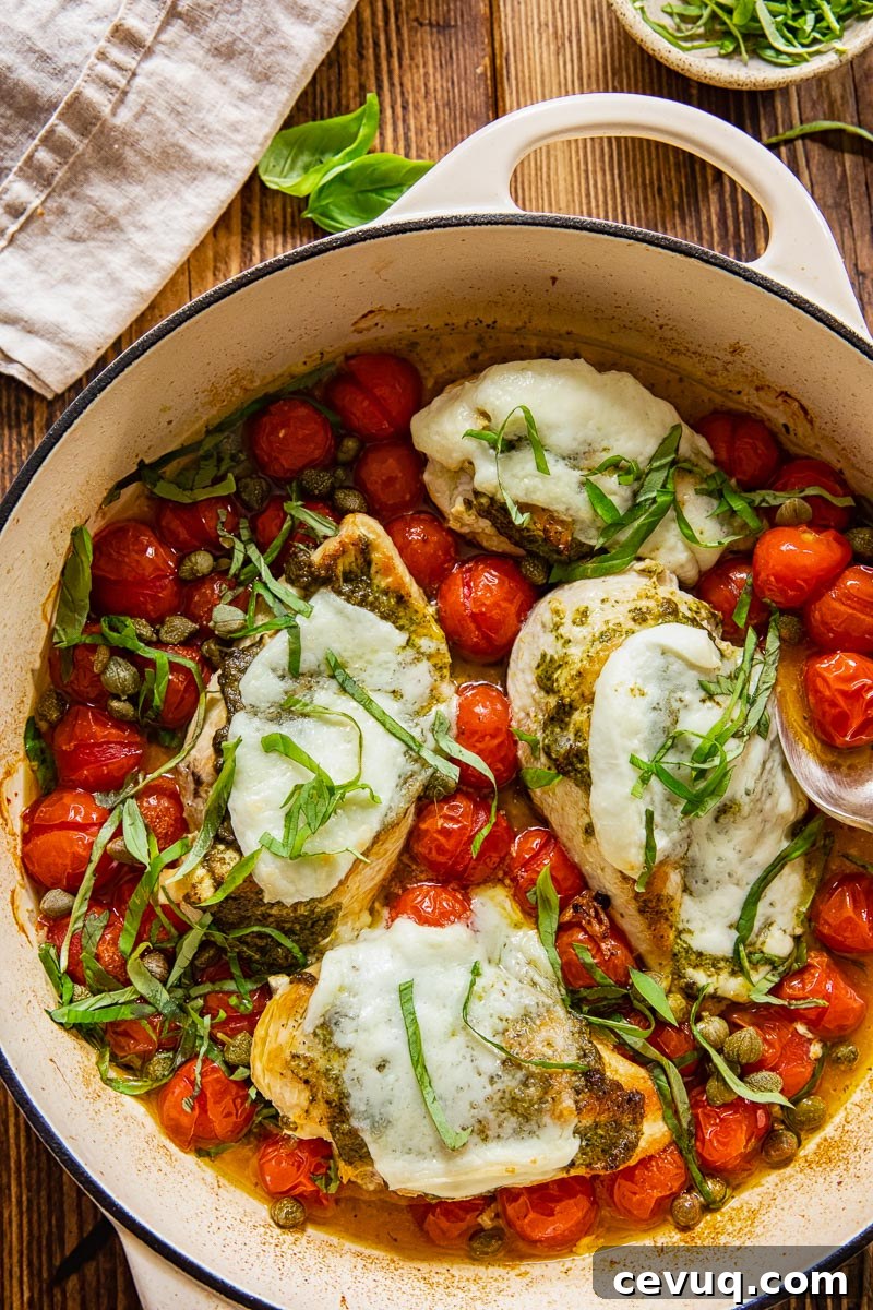 top down view of chicken breasts topped with melted mozzarella on top of cherry tomatoes and capers