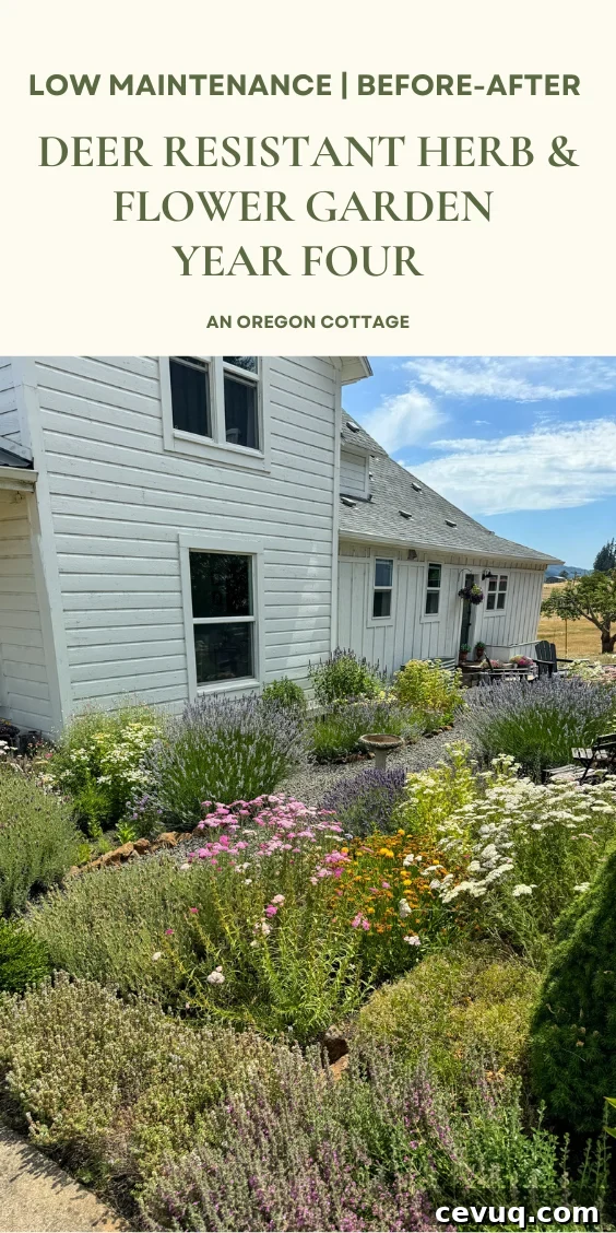 garden update Pinterest pin