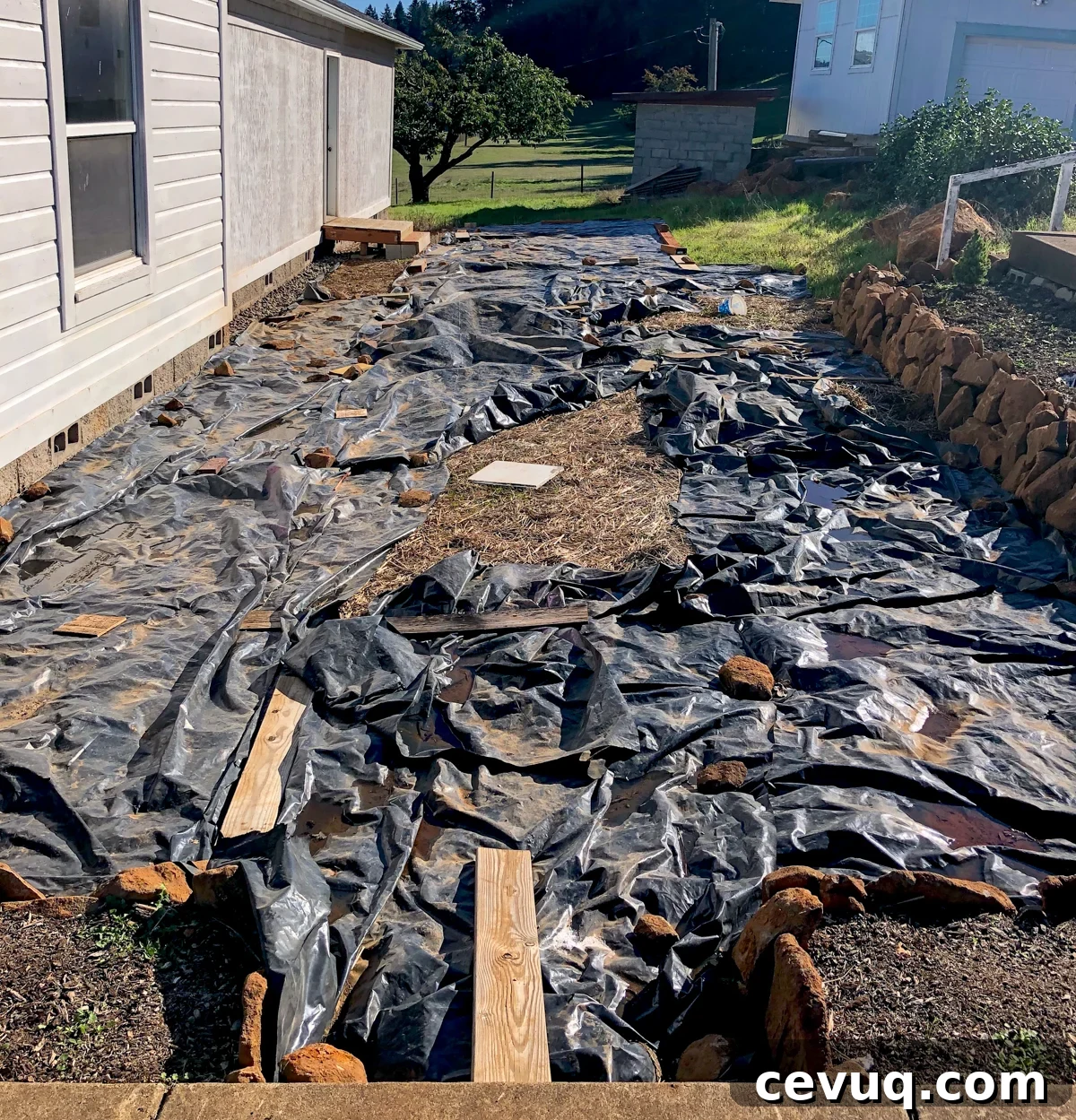 excavated side yard covered in black plastic