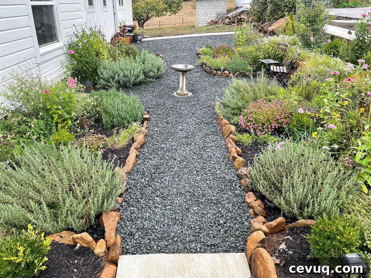 gravel garden path with flowers and herbs at 2.5 years old