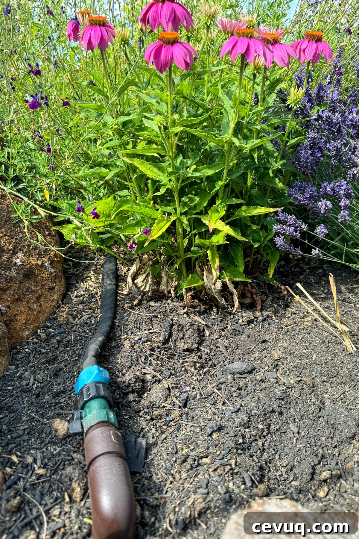 watering system pvc hook up with a cloth soaker hose