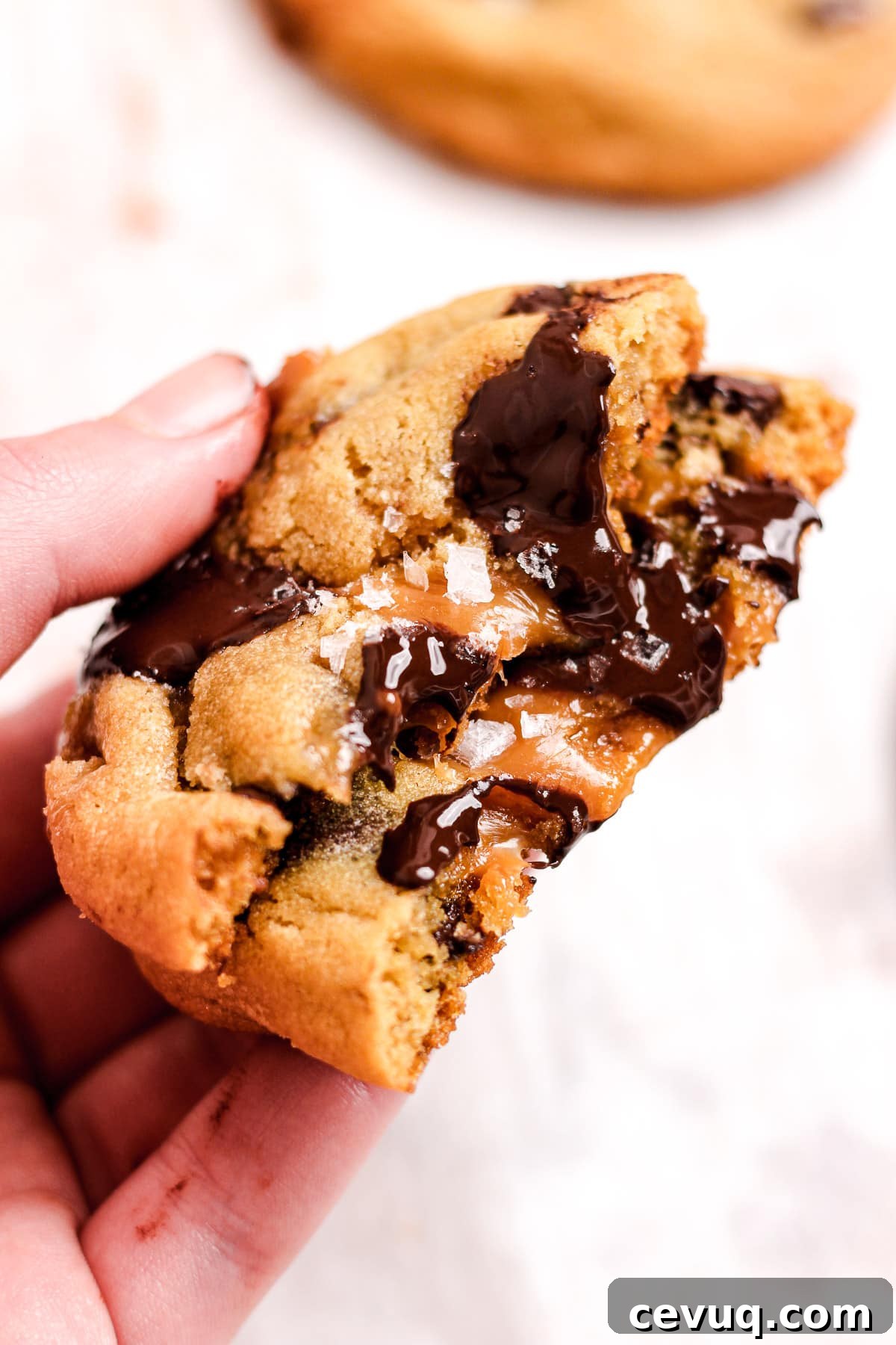 Caramel cookie close-up