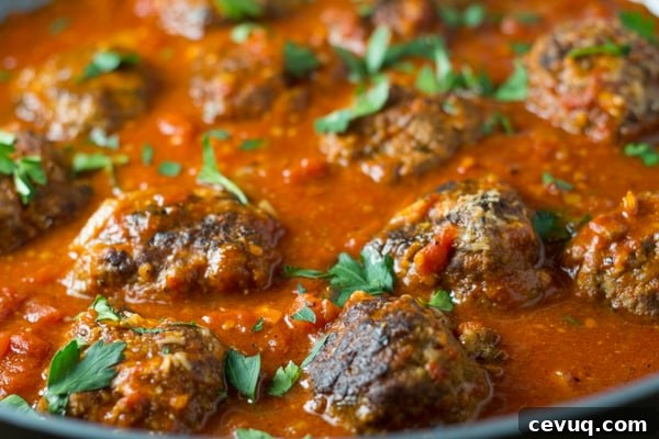 Big Braised Meatballs