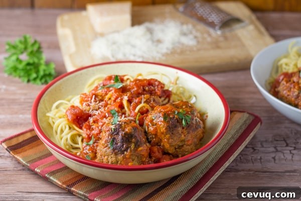 Big Braised Meatballs