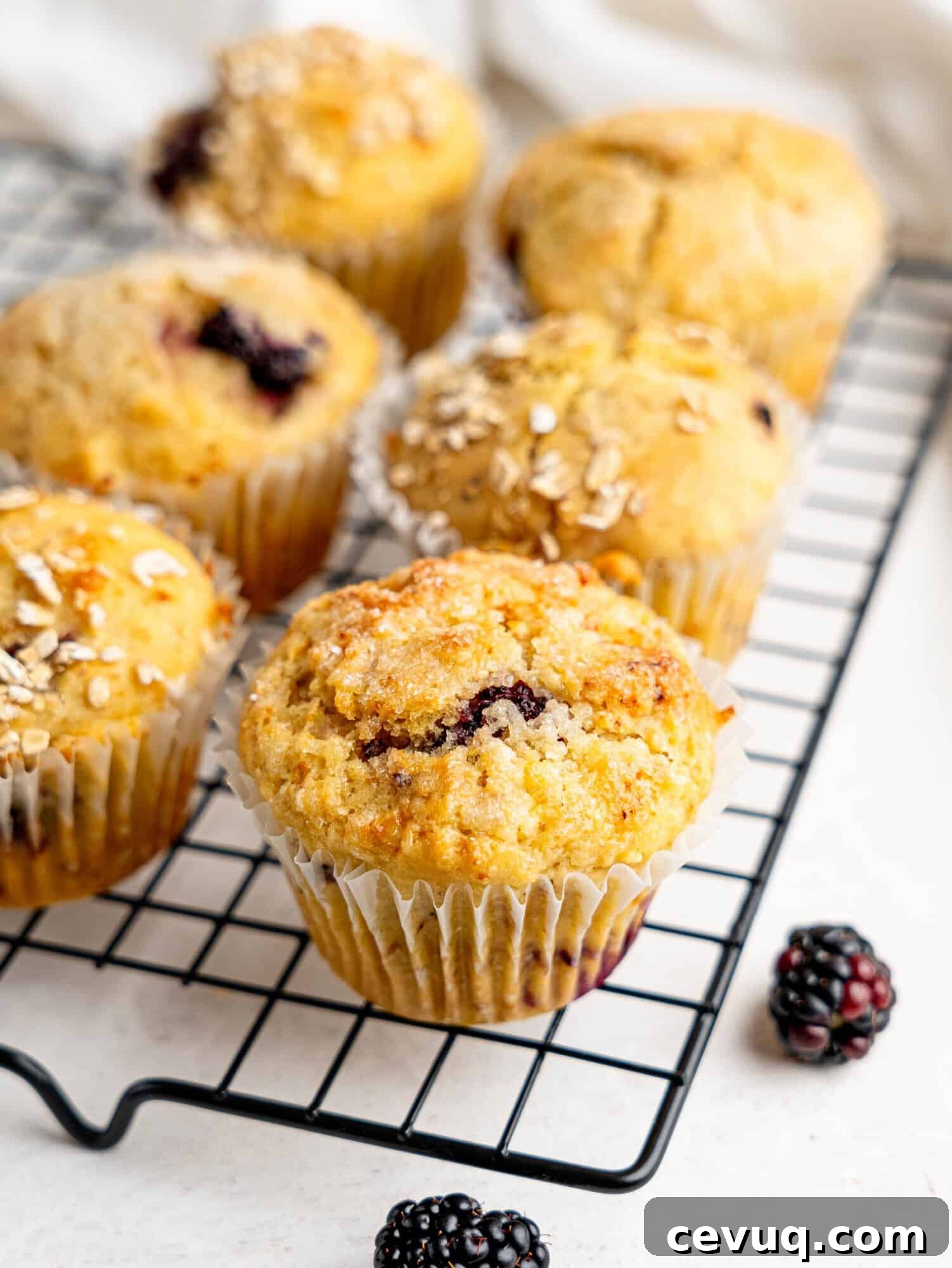 Gluten-free blackberry muffins on a wire cooling rack.