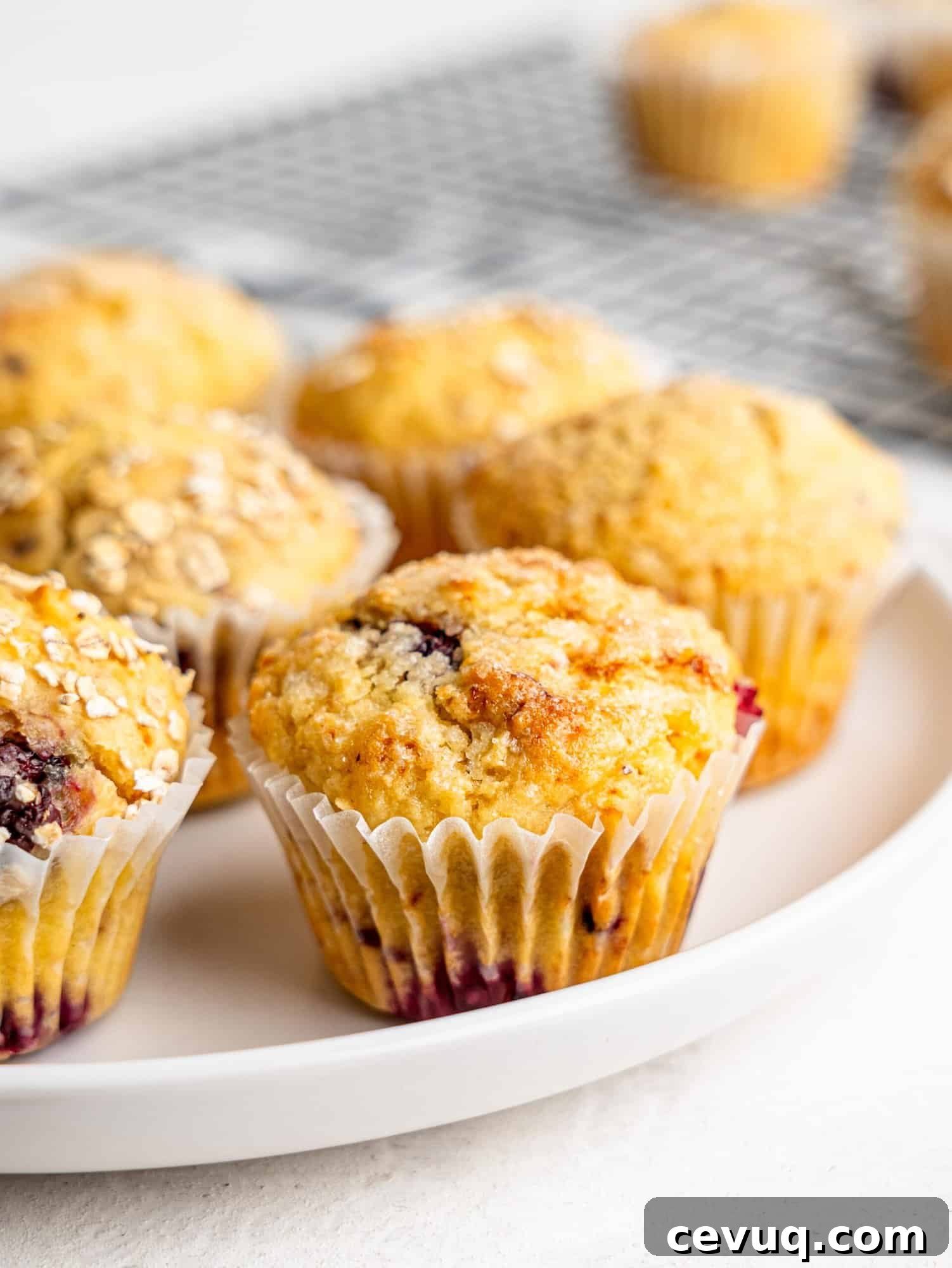 Gluten-free blackberry muffins on a white plate.