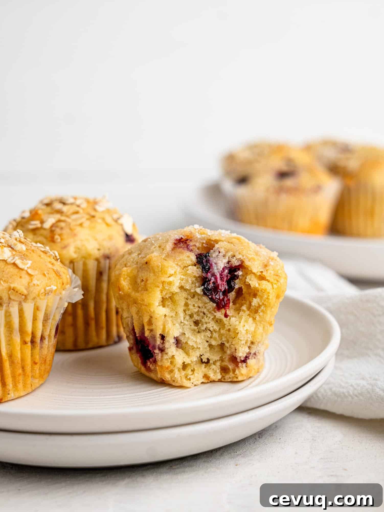 Three gliuten-free blackberry muffins on a white plate.