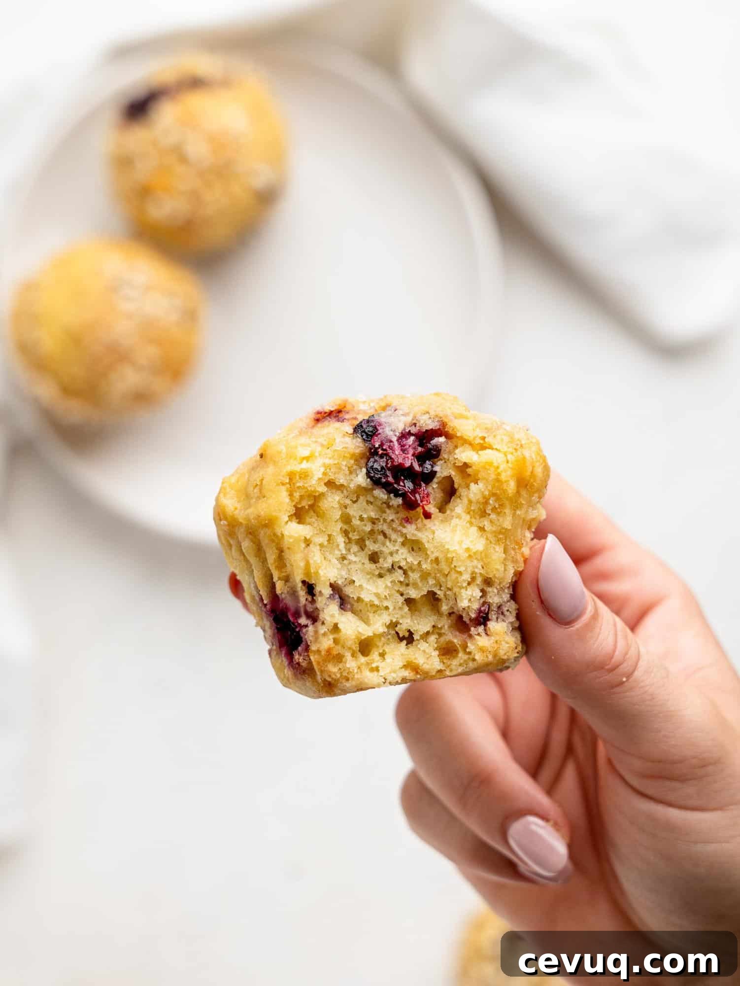 A hand holding a half-eaten blackberry muffin.