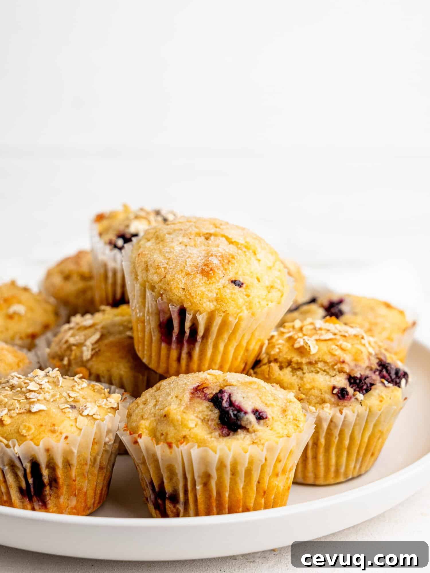 Gluten-free blackberry muffins on a white plate.