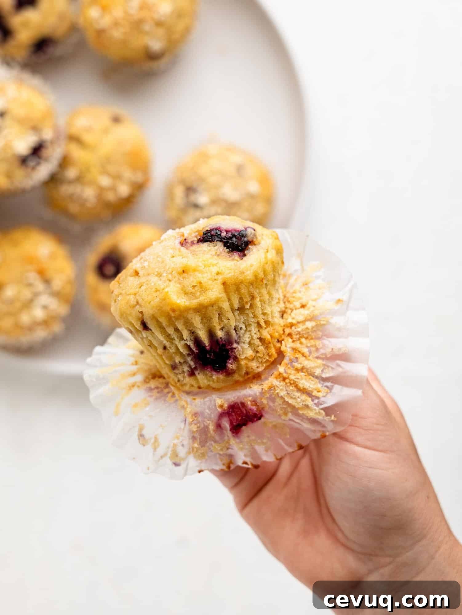 A hand holding a blackberry muffin.