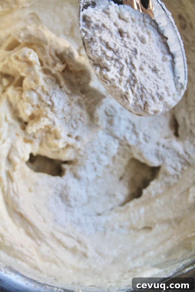 cookie batter for cookie press