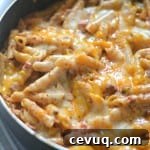 Chili Cheese Dip One-Pot Pasta Recipe for Cozy Weeknight Meals 2 img 7836 3