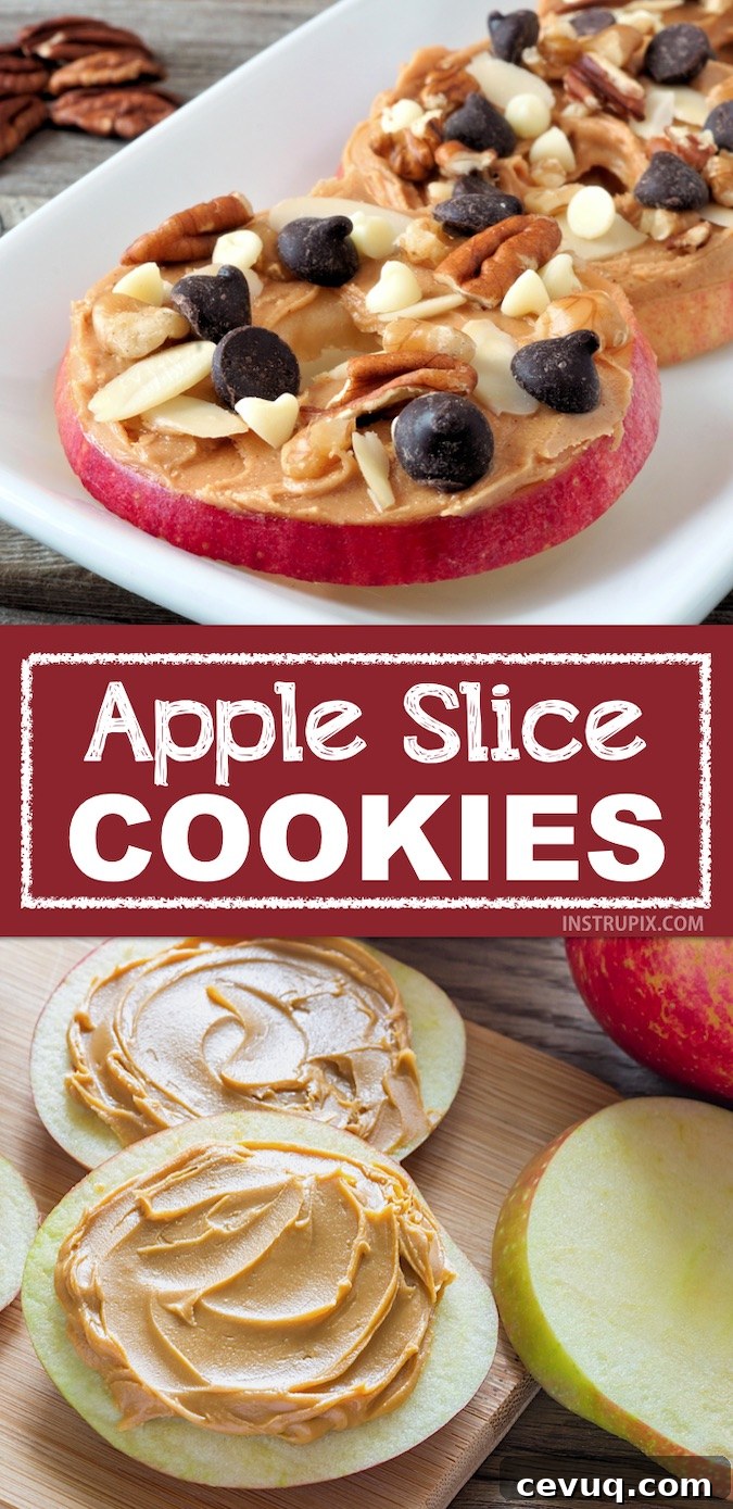 Picky eaters? Here are some healthy and fun snack idea for kids! This quick and easy snack idea is perfect for after school. Apple Slice Cookies made with healthy and cheap ingredients your toddlers and kids will love. | #instrupix #kidssnacks #healthy #kids #apples 