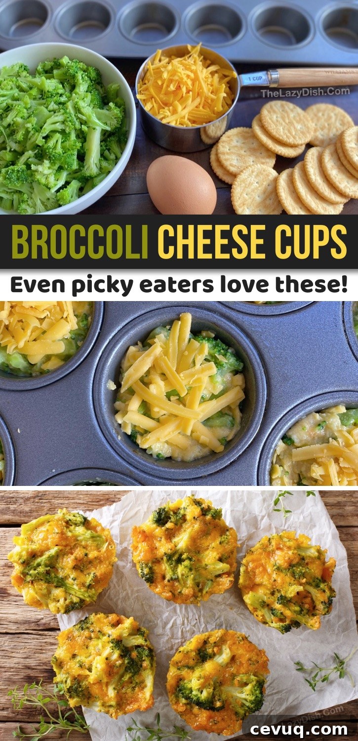 Super fun, healthy and easy snack recipes for kids! Great for school lunches, at home or on the go. These broccoli cheese cups are made with cheap and simple ingredients. A homemade snack recipe that even your picky eaters will love!